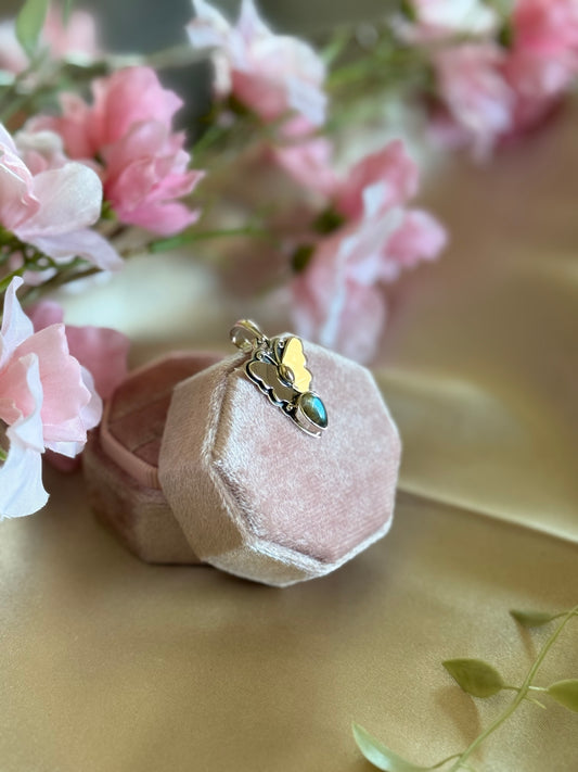 Butterfly Transformation