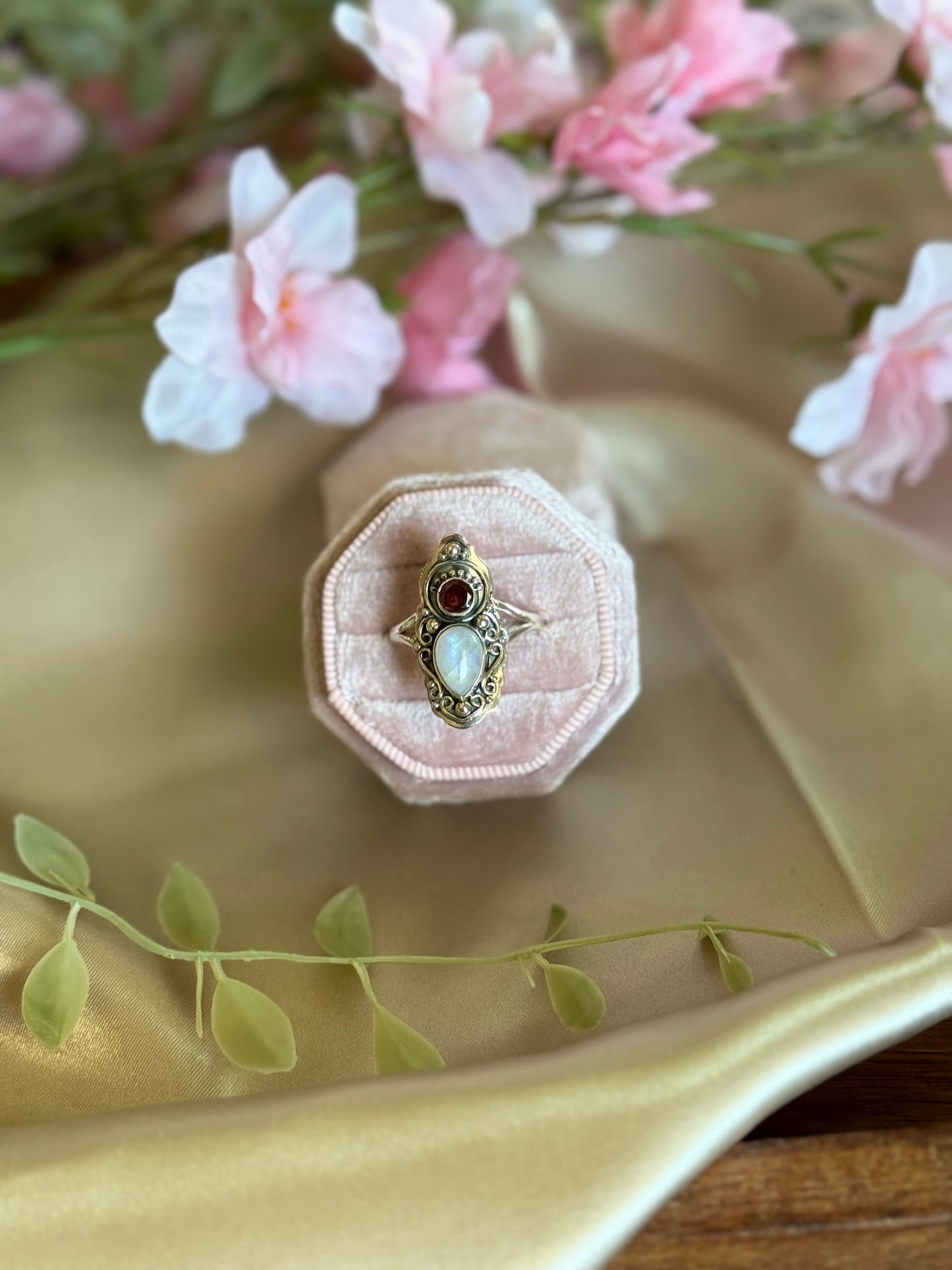 Eclipse Harmony Sz 12